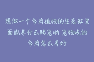 想做一个多肉植物的生态缸里面能养什么爬宠呐 宠物吃的多肉怎么养好-动物百科