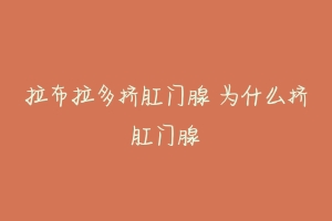 拉布拉多挤肛门腺 为什么挤肛门腺-动物百科