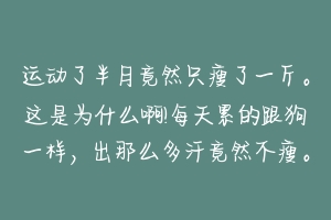 运动了半月竟然只瘦了一斤。这是为什么啊!每天累的跟狗一样，出那么多汗竟然不瘦。来个专业达人解答一下 狗狗出汗怎么办啊-动物百科