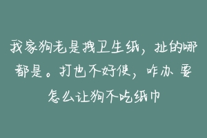 我家狗老是拽卫生纸,扯的哪都是。打也不好使,咋办 要怎么让狗不吃纸巾-动物百科