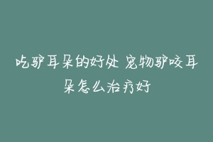 吃驴耳朵的好处 宠物驴咬耳朵怎么治疗好