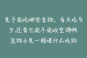 兔子能吃哪些食物，每天吃多少,还有它能不能吹空调啊 宠物小兔一般喂什么吃的-动物百科