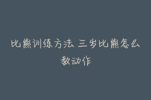 比熊训练方法 三岁比熊怎么教动作