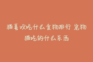 猫喜欢吃什么食物排行 宠物猫吃的什么东西-动物百科