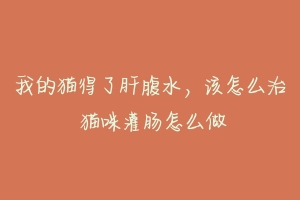 我的猫得了肝腹水,该怎么治 猫咪灌肠怎么做-动物百科