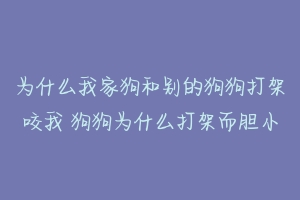 为什么我家狗和别的狗狗打架咬我 狗狗为什么打架而胆小-动物百科