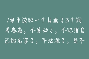 1岁半边牧一个月换了3个饲养家庭,不爱动了,不记得自己的名字了,不活泼了,是不是得抑郁症了,怎么治疗 宠物心理疾病怎么治疗的-动物百科