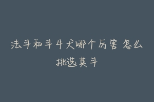 法斗和斗牛犬哪个厉害 怎么挑选英斗