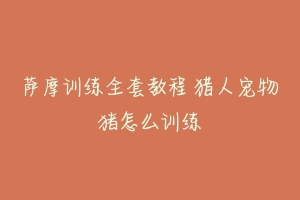 萨摩训练全套教程 猎人宠物猪怎么训练-动物百科