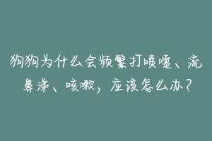 狗狗为什么会频繁打喷嚏、流鼻涕、咳嗽，应该怎么办？-动物百科