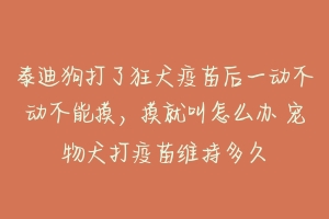 泰迪狗打了狂犬疫苗后一动不动不能摸，摸就叫怎么办 宠物犬打疫苗维持多久-动物百科