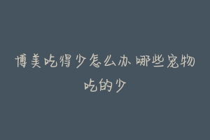 博美吃得少怎么办 哪些宠物吃的少-动物百科