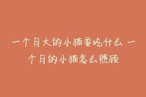 一个月大的小猫要吃什么 一个月的小猫怎么照顾-动物百科