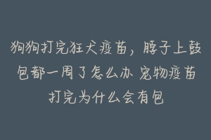 狗狗打完狂犬疫苗,脖子上鼓包都一周了怎么办 宠物疫苗打完为什么会有包-动物百科