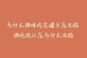 为什么猫咪吃完罐头后洗脸 猫吃饱以后为什么洗脸-动物百科