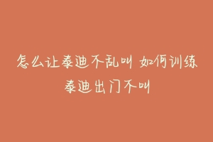 怎么让泰迪不乱叫 如何训练泰迪出门不叫-动物百科