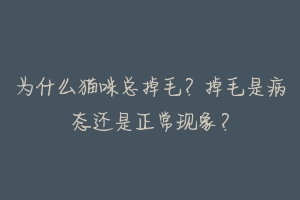 为什么猫咪总掉毛?掉毛是病态还是正常现象?