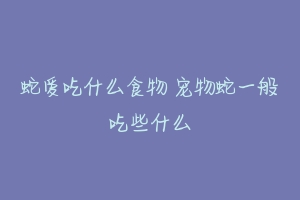 蛇爱吃什么食物 宠物蛇一般吃些什么-动物百科