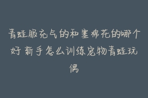 青蛙服充气的和塞棉花的哪个好 新手怎么训练宠物青蛙玩偶-动物百科