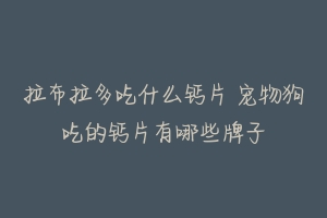 拉布拉多吃什么钙片 宠物狗吃的钙片有哪些牌子-动物百科