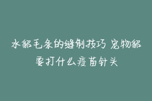 水貂毛条的缝制技巧 宠物貂要打什么疫苗针头