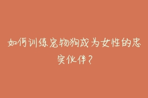如何训练宠物狗成为女性的忠实伙伴?
