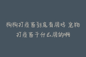 狗狗打疫苗到底有用吗 宠物打疫苗干什么用的啊
