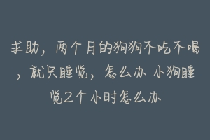 求助,两个月的狗狗不吃不喝,就只睡觉,怎么办 小狗睡觉2个小时怎么办