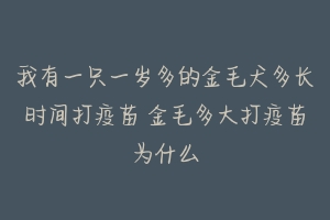 我有一只一岁多的金毛犬多长时间打疫苗 金毛多大打疫苗为什么