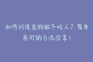 如何训练宠物貂不咬人?简单易行的方法分享!