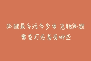 狐狸最多活多少岁 宠物狐狸需要打疫苗有哪些-动物百科