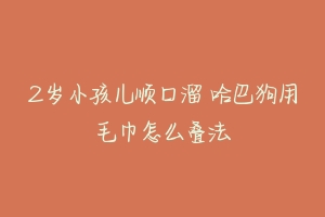 2岁小孩儿顺口溜 哈巴狗用毛巾怎么叠法-动物百科