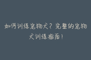 如何训练宠物犬?完整的宠物犬训练指南!-动物百科