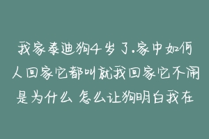 我家泰迪狗4岁了.家中如何人回家它都叫就我回家它不闹是为什么 怎么让狗明白我在叫它-动物百科