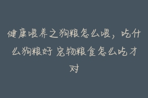 健康喂养之狗粮怎么喂,吃什么狗粮好 宠物粮食怎么吃才对-动物百科