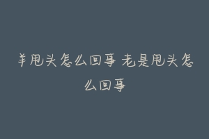 羊甩头怎么回事 老是甩头怎么回事-动物百科