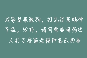 我家是泰迪狗,打完疫苗精神不振,发抖,请问需要喝药吗 人打了疫苗没精神怎么回事-动物百科