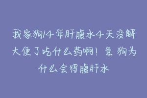 我家狗14年肝腹水4天没解大便了吃什么药啊!急 狗为什么会得腹肝水