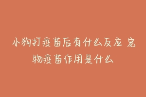 小狗打疫苗后有什么反应 宠物疫苗作用是什么-动物百科