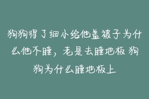 狗狗得了细小给他盖被子为什么他不睡,老是去睡地板 狗狗为什么睡地板上-动物百科
