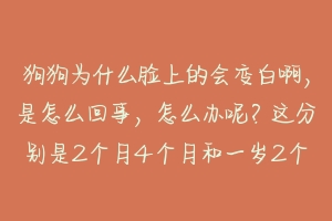 狗狗为什么脸上的会变白啊,是怎么回事,怎么办呢?这分别是2个月4个月和一岁2个月,麻烦专业人士解 狗狗指甲变白怎么回事啊-动物百科