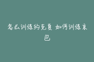 怎么训练约克夏 如何训练京巴-动物百科