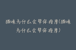 猫咪为什么会帮你按摩(猫咪为什么会帮你按摩)-动物百科