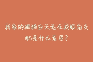 我家的猫猫白天老在我眼前交配是什么意思?-动物百科