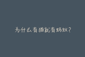 为什么有猫就有蚂蚁?-动物百科