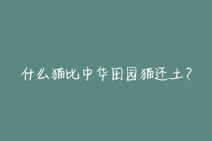 什么猫比中华田园猫还土?-动物百科