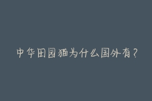 中华田园猫为什么国外有？-动物百科