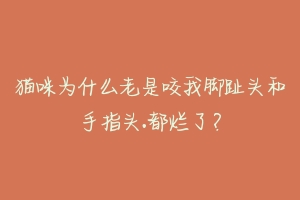 猫咪为什么老是咬我脚趾头和手指头.都烂了?-动物百科