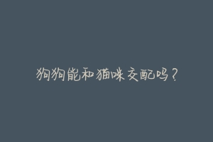 狗狗能和猫咪交配吗?-动物百科