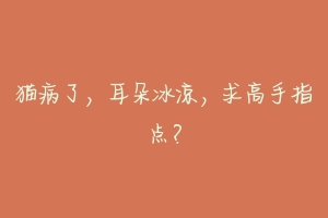 猫病了,耳朵冰凉,求高手指点?-动物百科